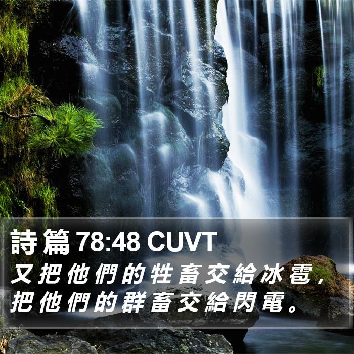 詩 篇 78:48 CUVT Bible Study