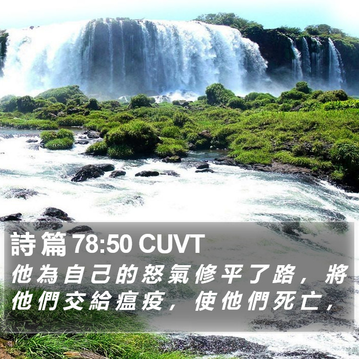 詩 篇 78:50 CUVT Bible Study