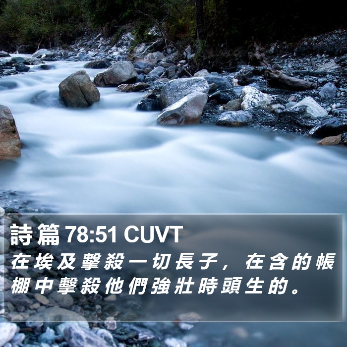 詩 篇 78:51 CUVT Bible Study