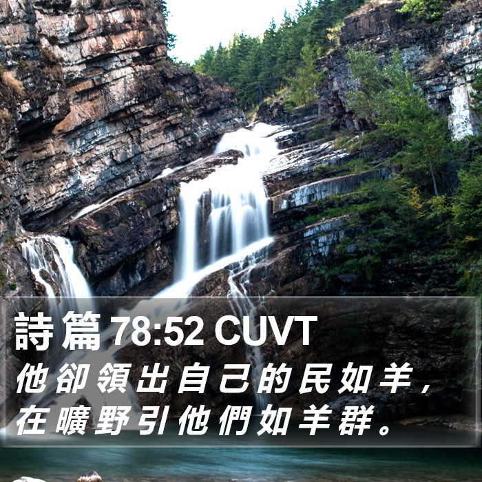 詩 篇 78:52 CUVT Bible Study