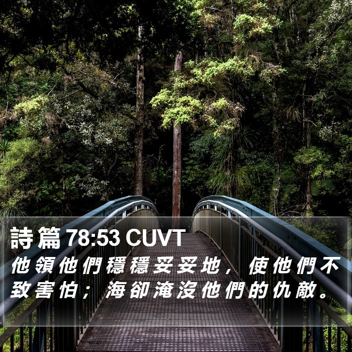 詩 篇 78:53 CUVT Bible Study