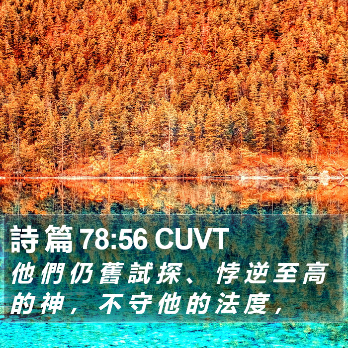 詩 篇 78:56 CUVT Bible Study
