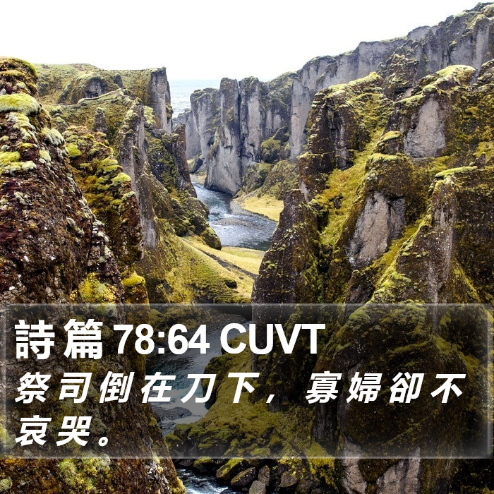 詩 篇 78:64 CUVT Bible Study