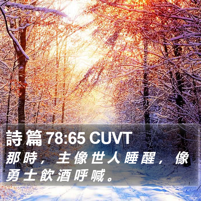 詩 篇 78:65 CUVT Bible Study