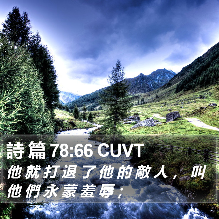 詩 篇 78:66 CUVT Bible Study