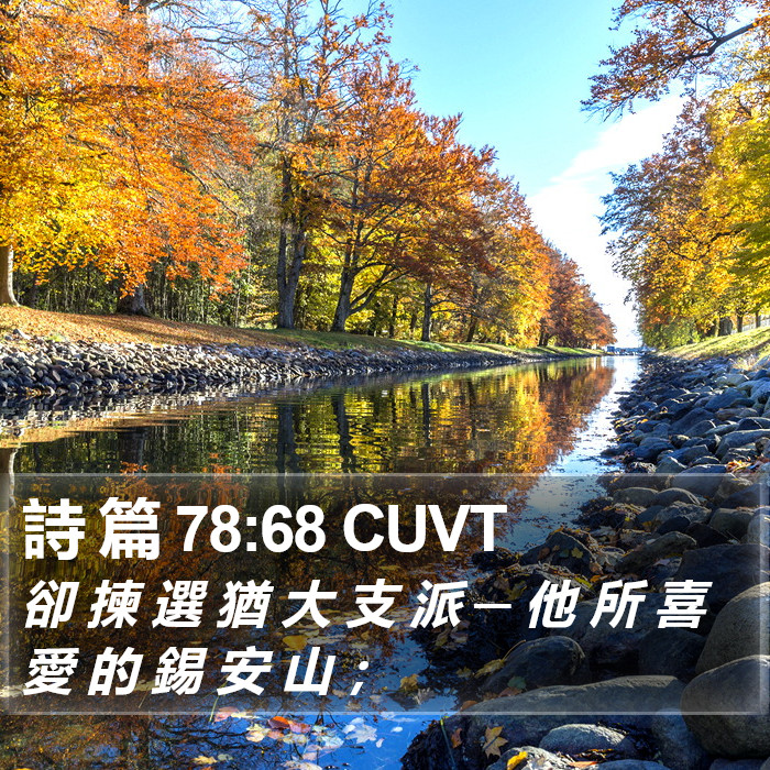詩 篇 78:68 CUVT Bible Study