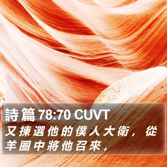 詩 篇 78:70 CUVT Bible Study