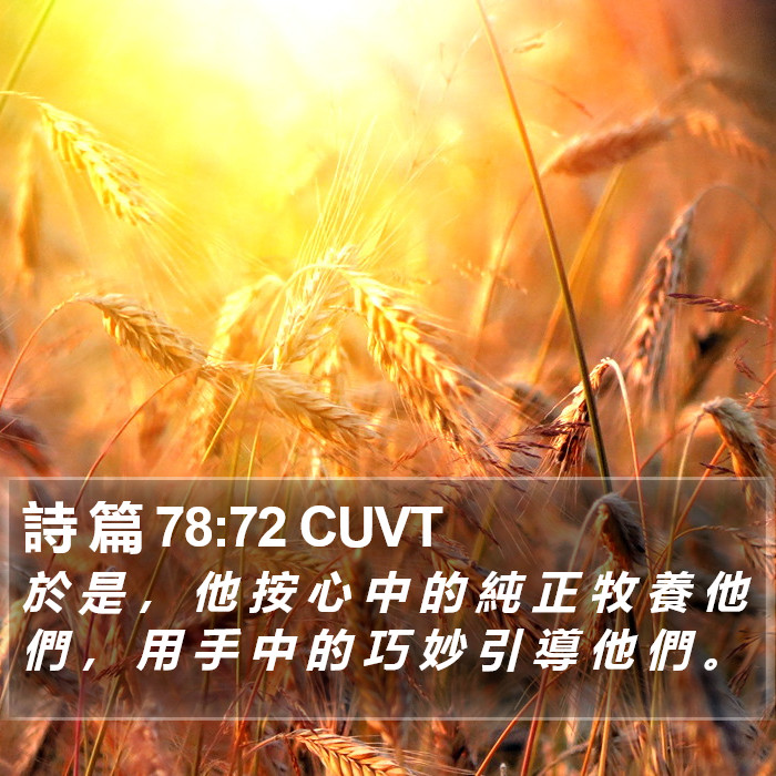 詩 篇 78:72 CUVT Bible Study