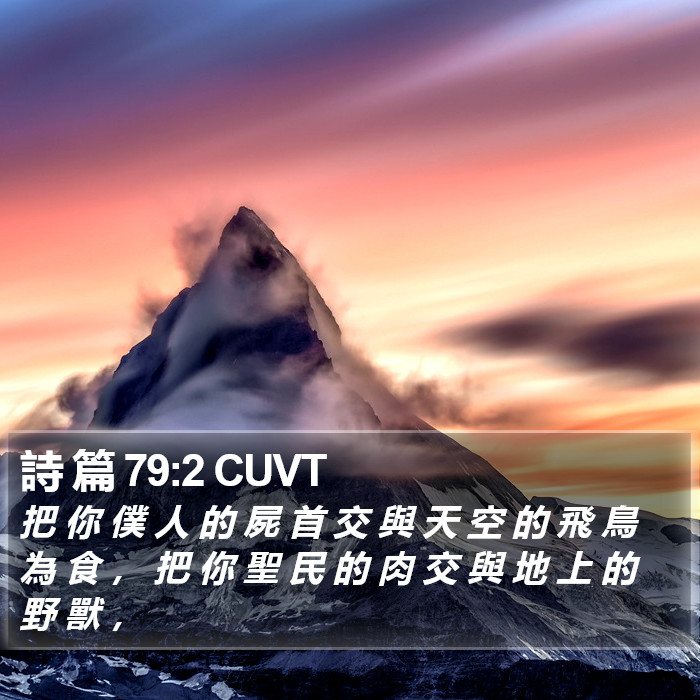 詩 篇 79:2 CUVT Bible Study