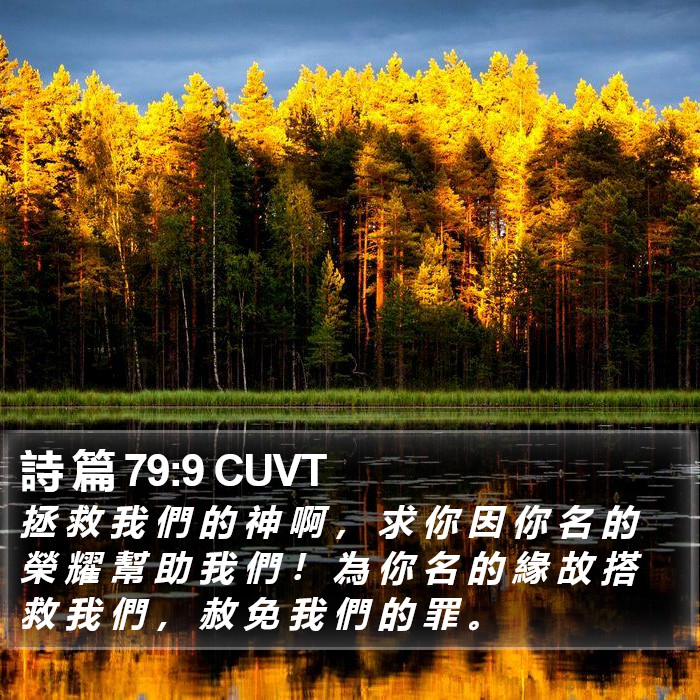 詩 篇 79:9 CUVT Bible Study