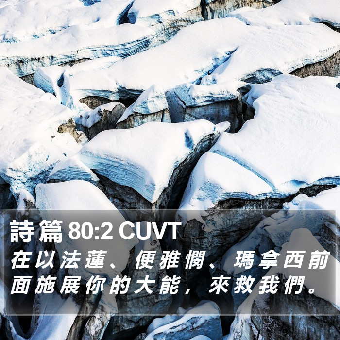 詩 篇 80:2 CUVT Bible Study