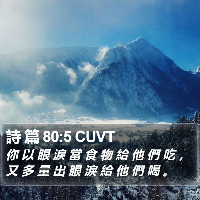 詩 篇 80:5 CUVT Bible Study