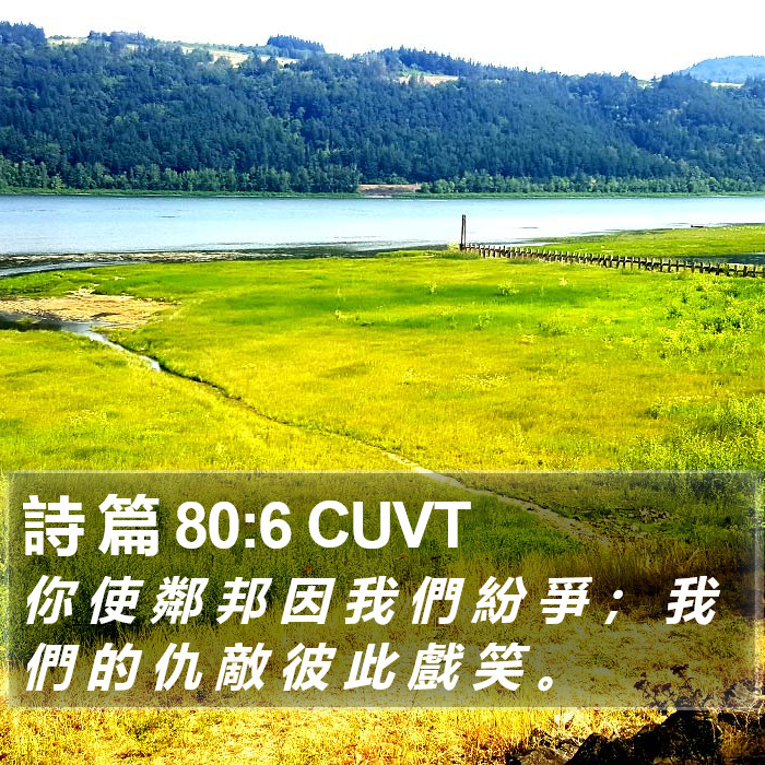 詩 篇 80:6 CUVT Bible Study