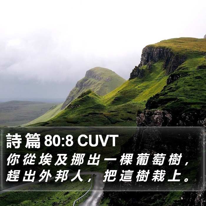 詩 篇 80:8 CUVT Bible Study