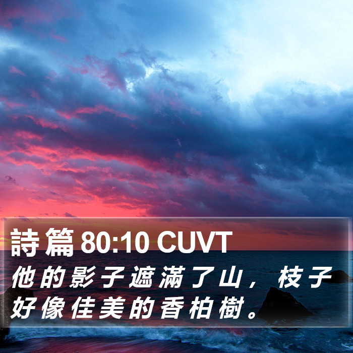詩 篇 80:10 CUVT Bible Study
