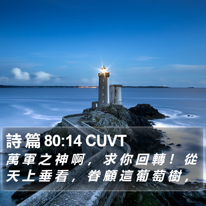 詩 篇 80:14 CUVT Bible Study
