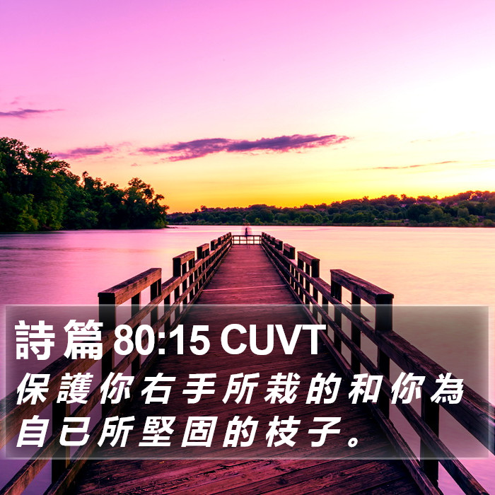 詩 篇 80:15 CUVT Bible Study