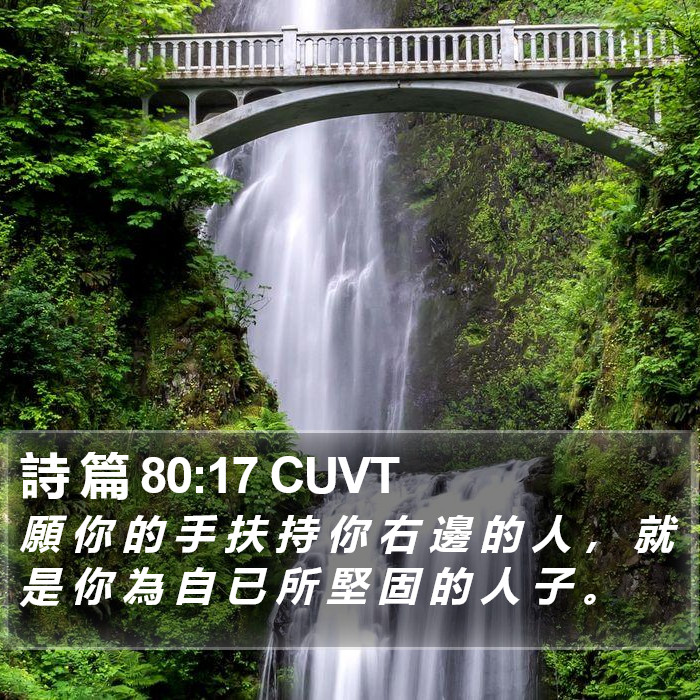 詩 篇 80:17 CUVT Bible Study