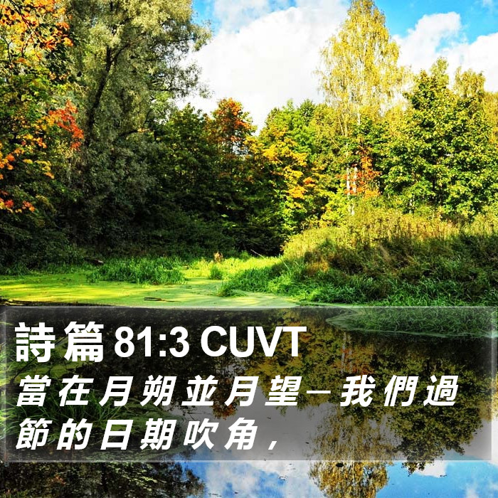 詩 篇 81:3 CUVT Bible Study