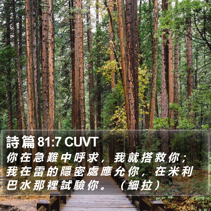 詩 篇 81:7 CUVT Bible Study