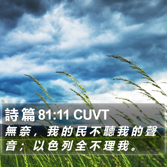 詩 篇 81:11 CUVT Bible Study