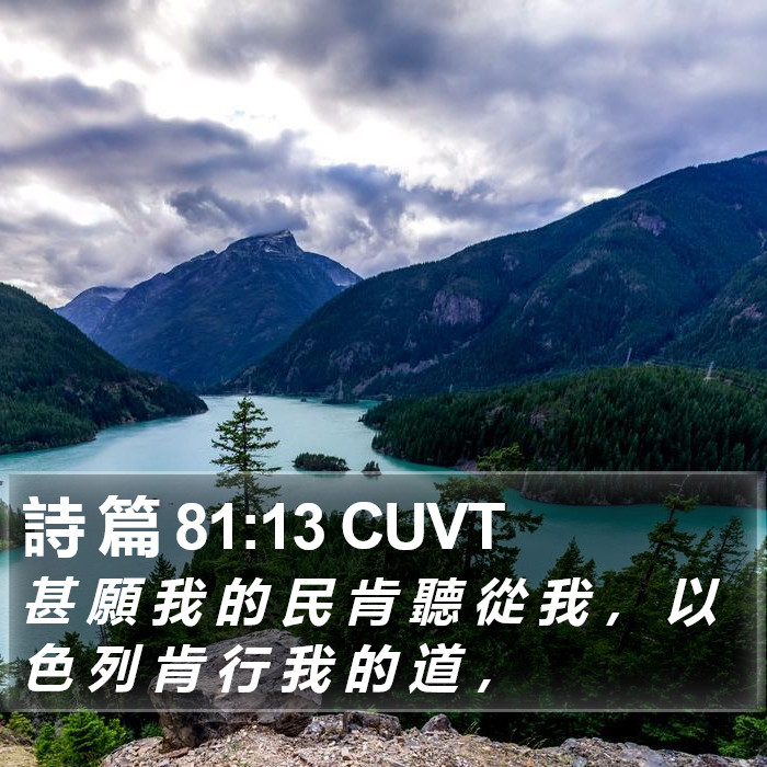 詩 篇 81:13 CUVT Bible Study