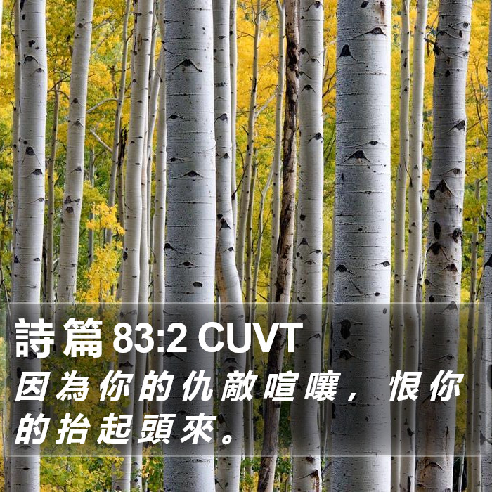 詩 篇 83:2 CUVT Bible Study