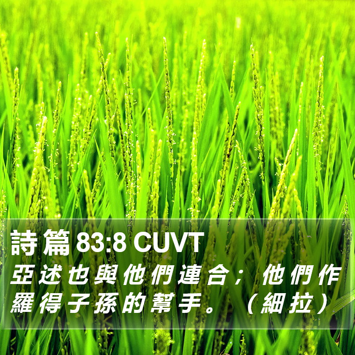 詩 篇 83:8 CUVT Bible Study