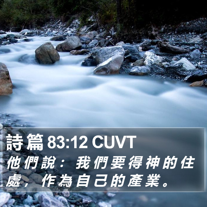 詩 篇 83:12 CUVT Bible Study