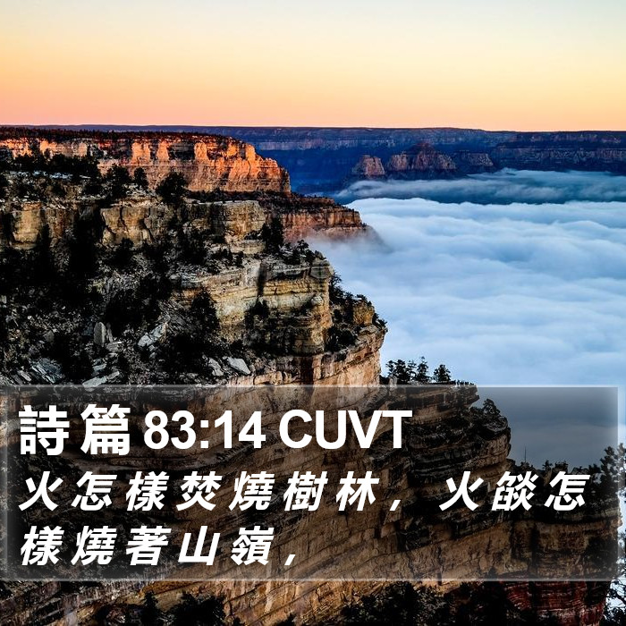 詩 篇 83:14 CUVT Bible Study