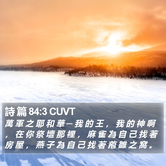 詩 篇 84:3 CUVT Bible Study