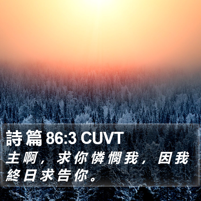 詩 篇 86:3 CUVT Bible Study