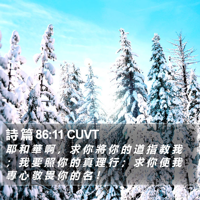 詩 篇 86:11 CUVT Bible Study