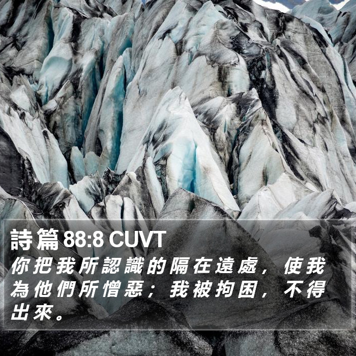 詩 篇 88:8 CUVT Bible Study