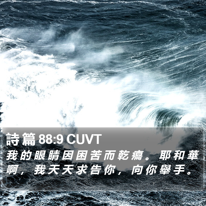 詩 篇 88:9 CUVT Bible Study