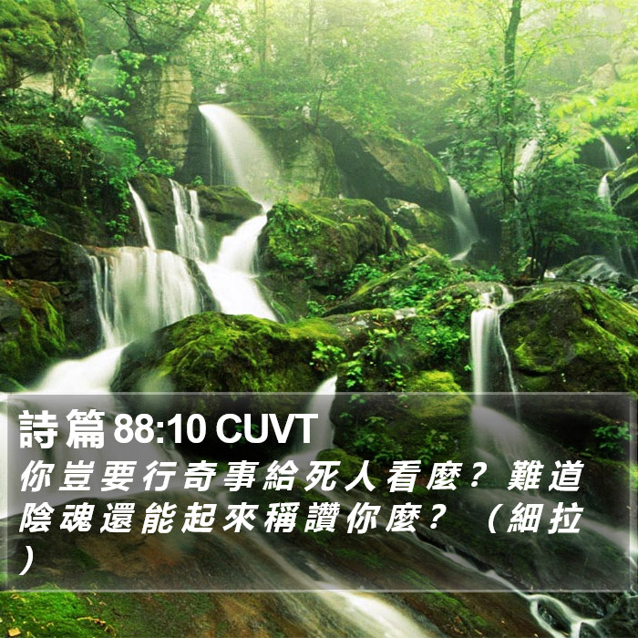 詩 篇 88:10 CUVT Bible Study