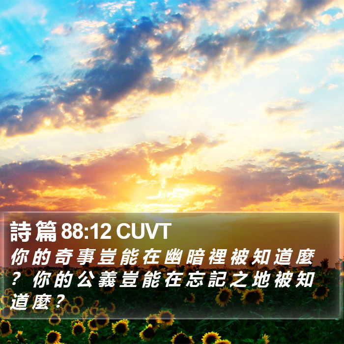 詩 篇 88:12 CUVT Bible Study