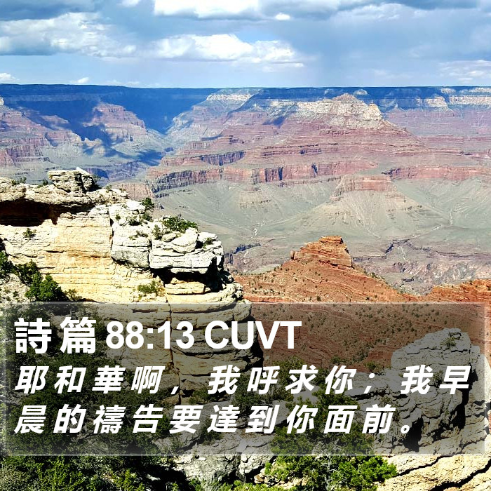 詩 篇 88:13 CUVT Bible Study