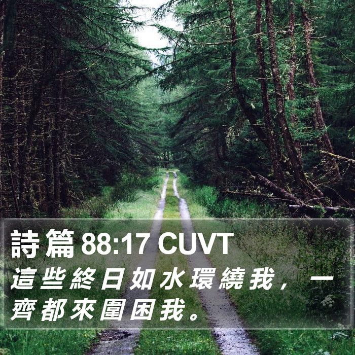 詩 篇 88:17 CUVT Bible Study
