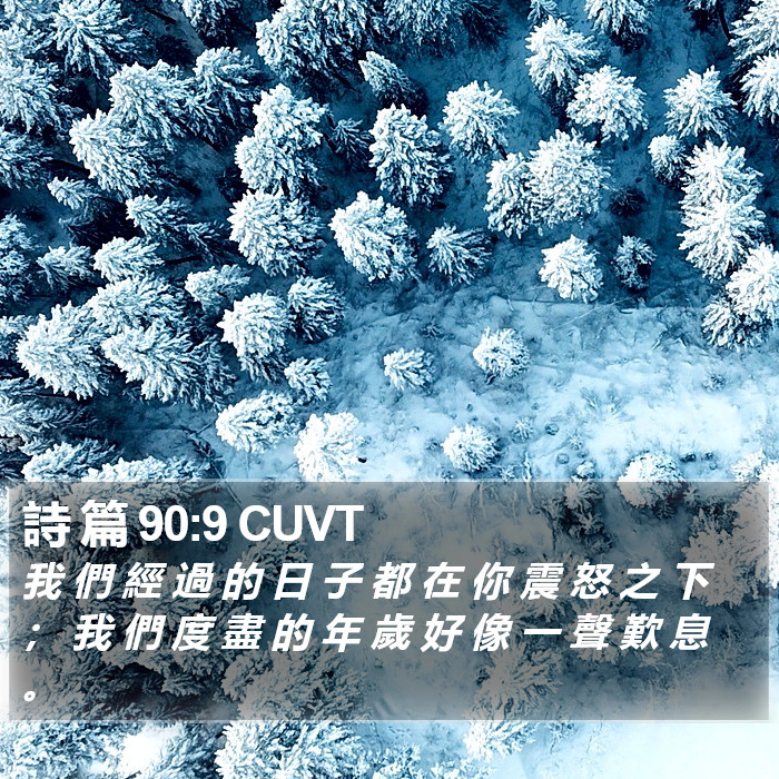 詩 篇 90:9 CUVT Bible Study