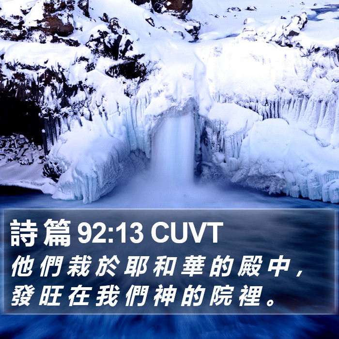 詩 篇 92:13 CUVT Bible Study