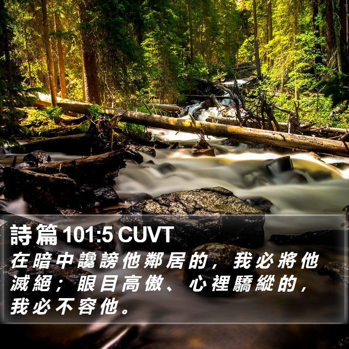 詩 篇 101:5 CUVT Bible Study