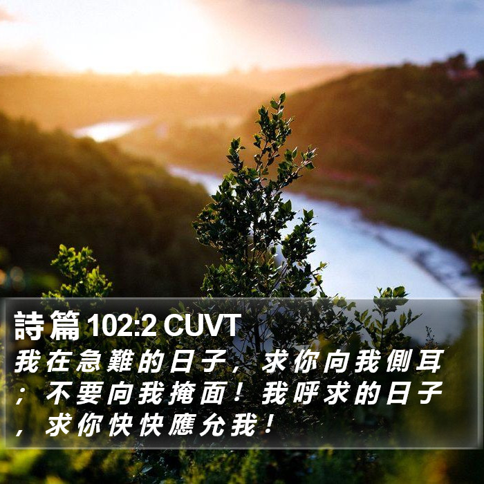 詩 篇 102:2 CUVT Bible Study