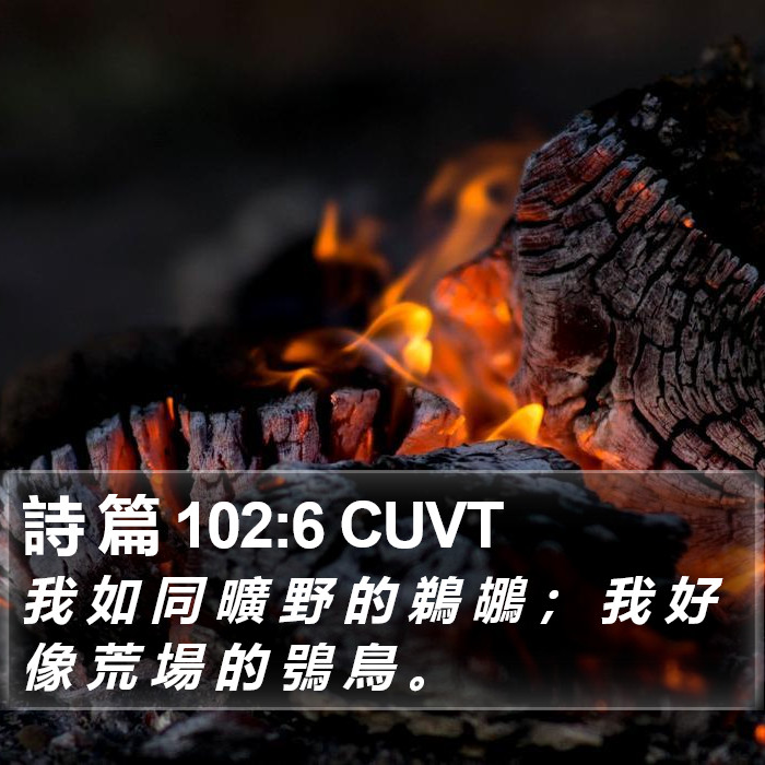 詩 篇 102:6 CUVT Bible Study