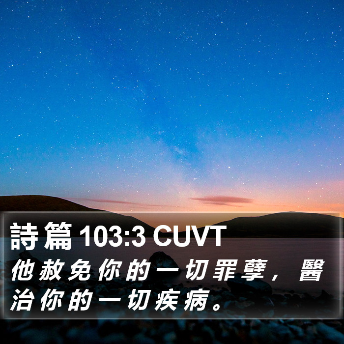 詩 篇 103:3 CUVT Bible Study