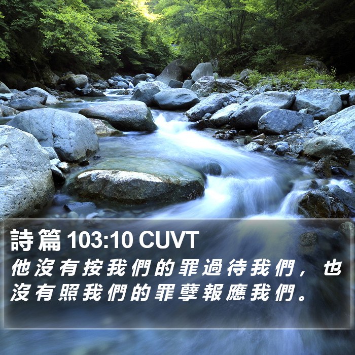 詩 篇 103:10 CUVT Bible Study