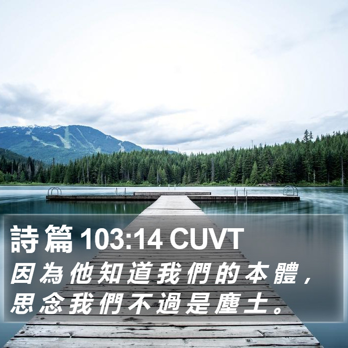 詩 篇 103:14 CUVT Bible Study