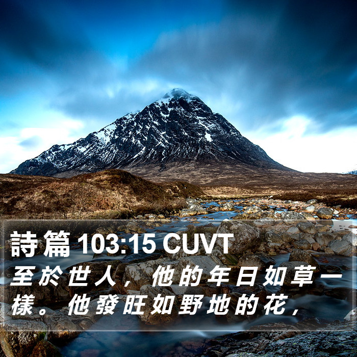 詩 篇 103:15 CUVT Bible Study