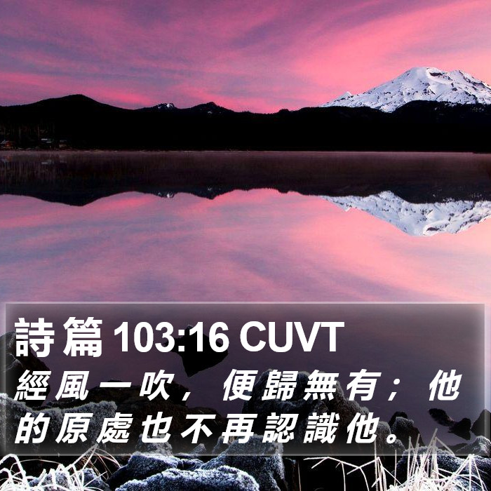 詩 篇 103:16 CUVT Bible Study