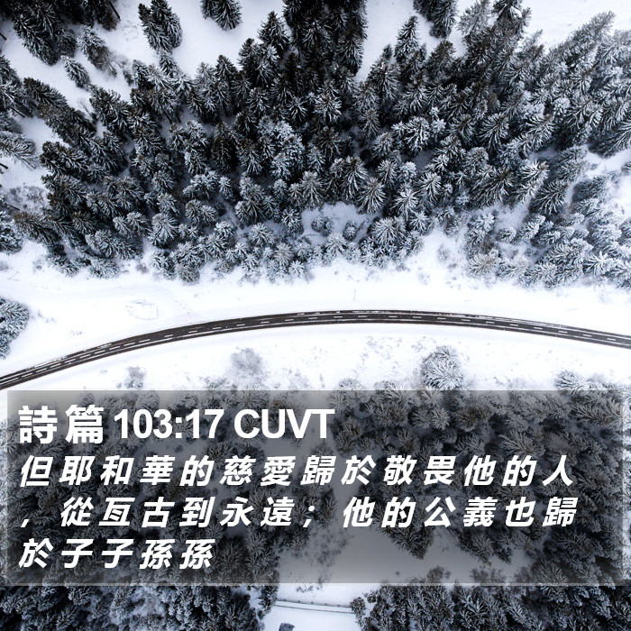 詩 篇 103:17 CUVT Bible Study